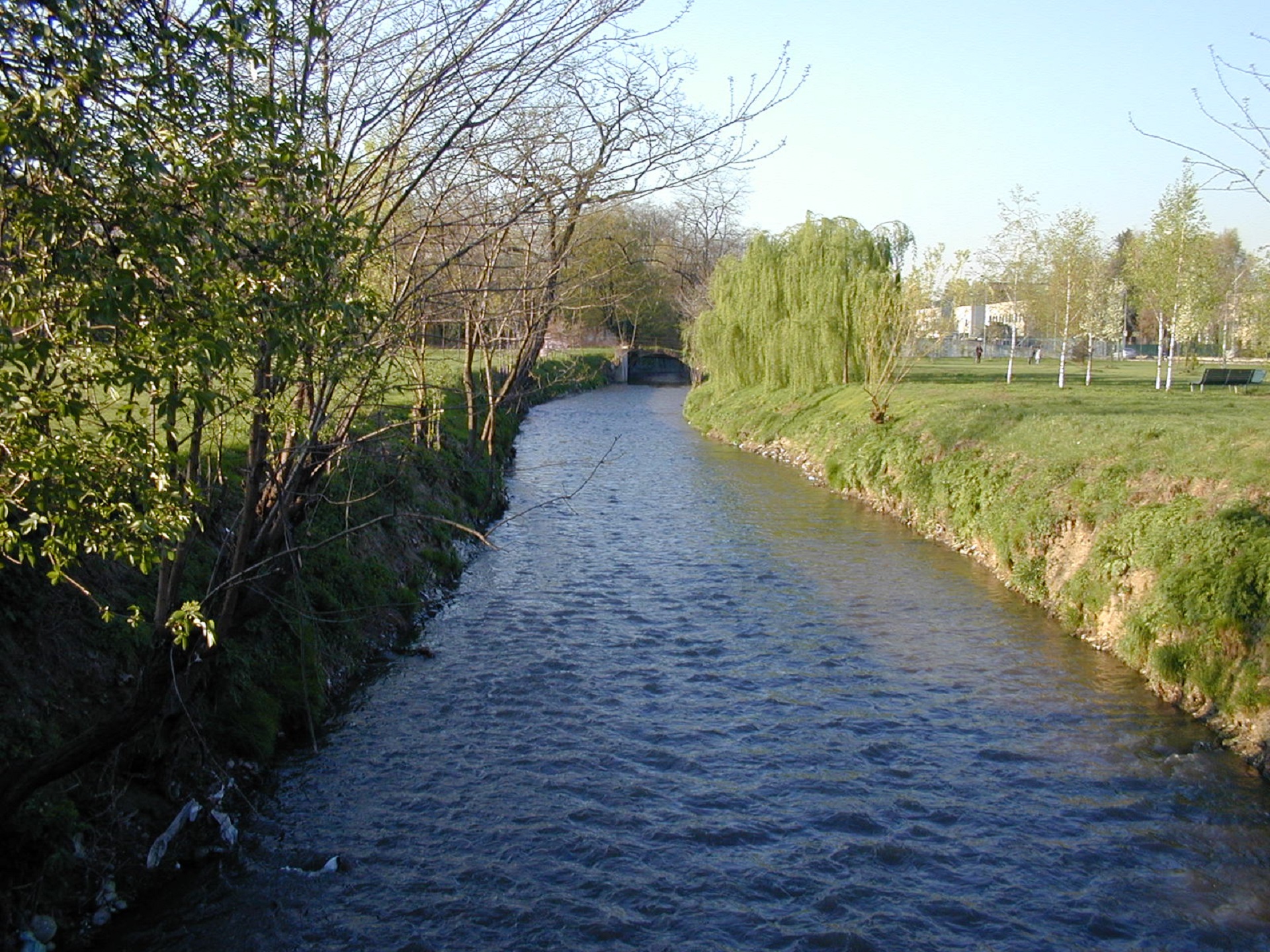 164_  Progetto di educazione ambientale del  Parco delle Groane: “Un fiume d’acqua”