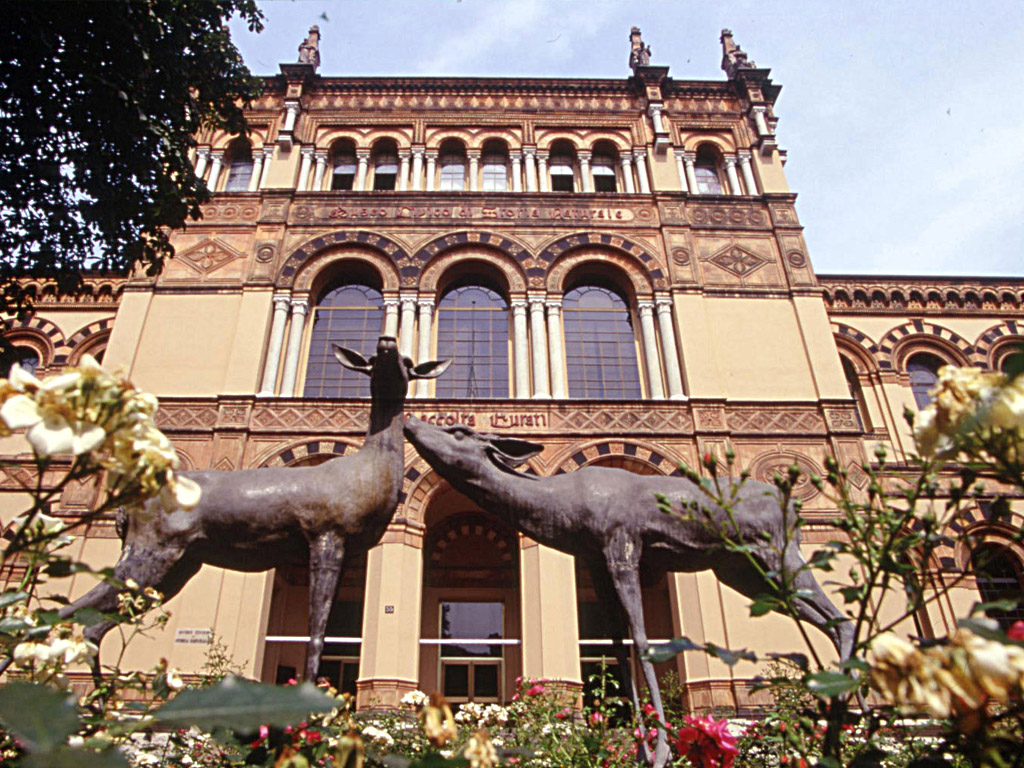 museo-di-storia-naturale-di-milano_141146.jpg