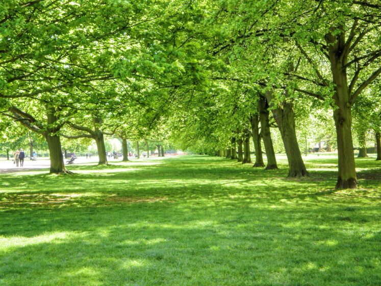 green-park-R6ZHAJ5-747x560.jpg